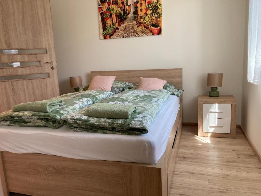 דירות Hajdúszoboszló Noemi Apartman מראה חיצוני תמונה